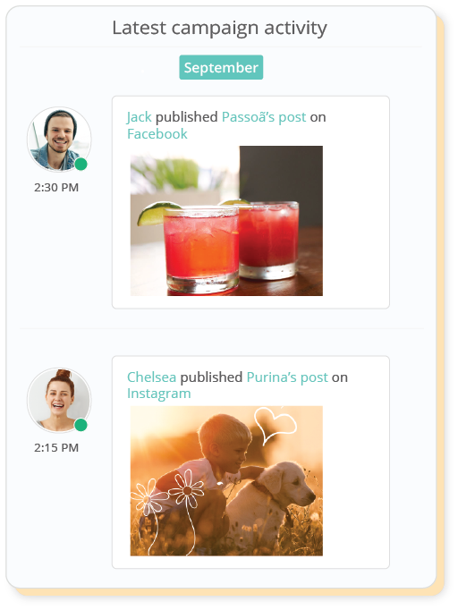 social media campaign tool